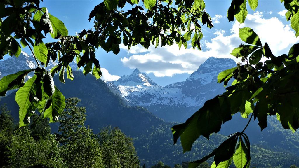 Ferienwohnungen Schweinoester Лофер Екстериор снимка